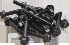 ht steel cam cap bolts (engine set)